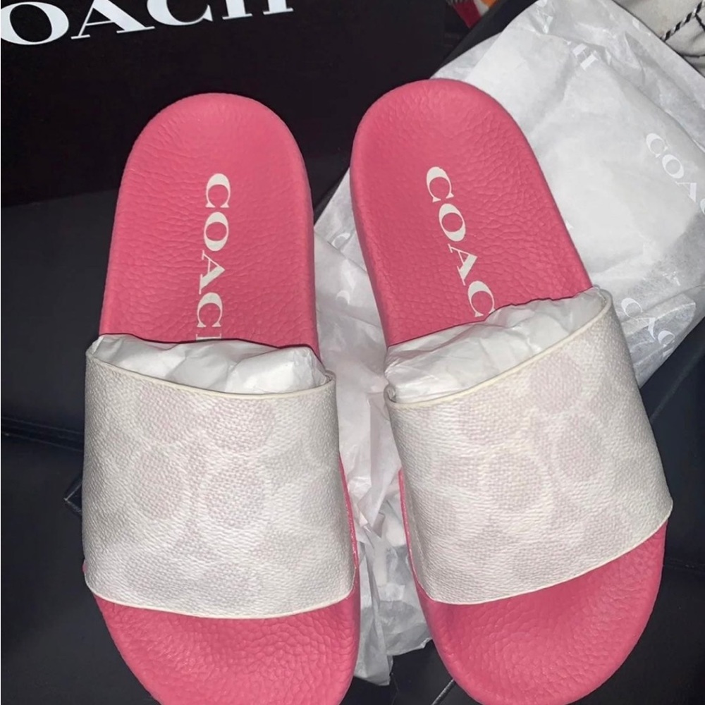 NWT COACH UDELE sport slide, SOLD OUT - Picture 7 of 7
